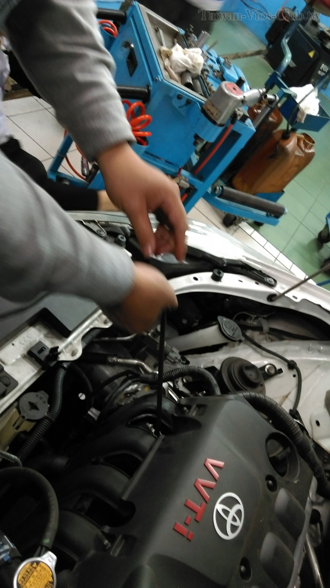 IMAG0203.jpg