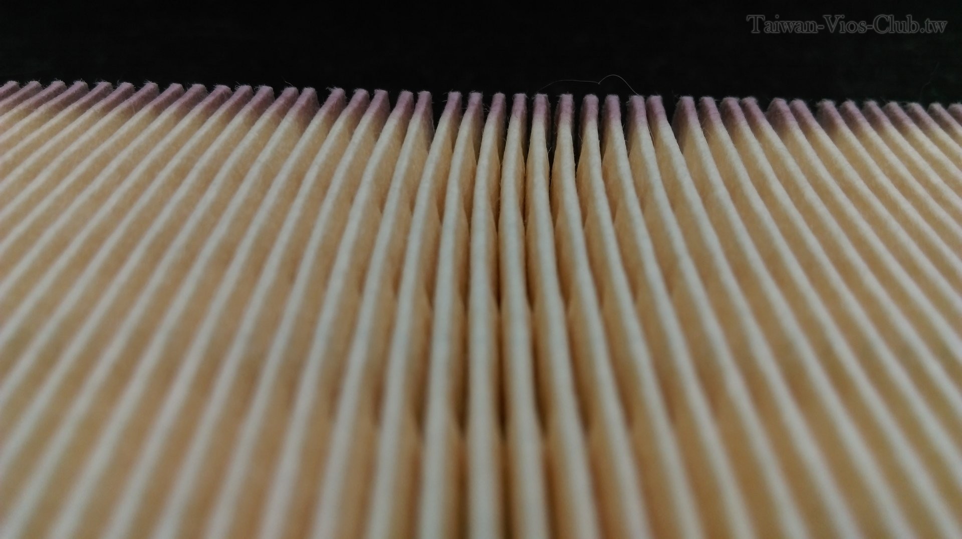 IMAG0265.jpg
